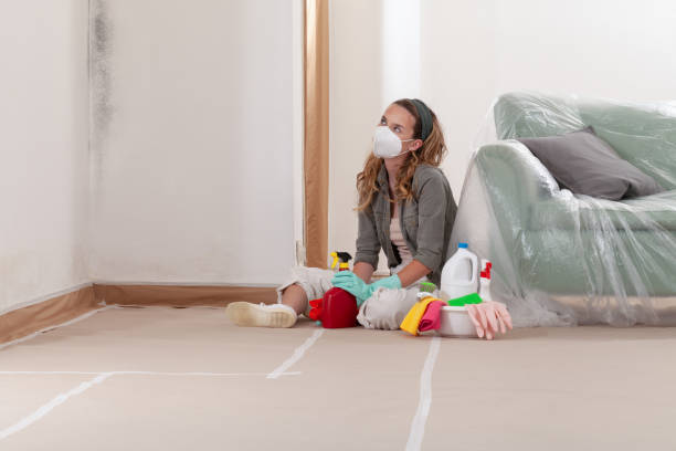 Reliable Mold Remediation contractor in Spring Hill, FL by WQB Mold Removal